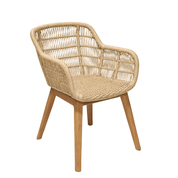 Amora Dining Chair
