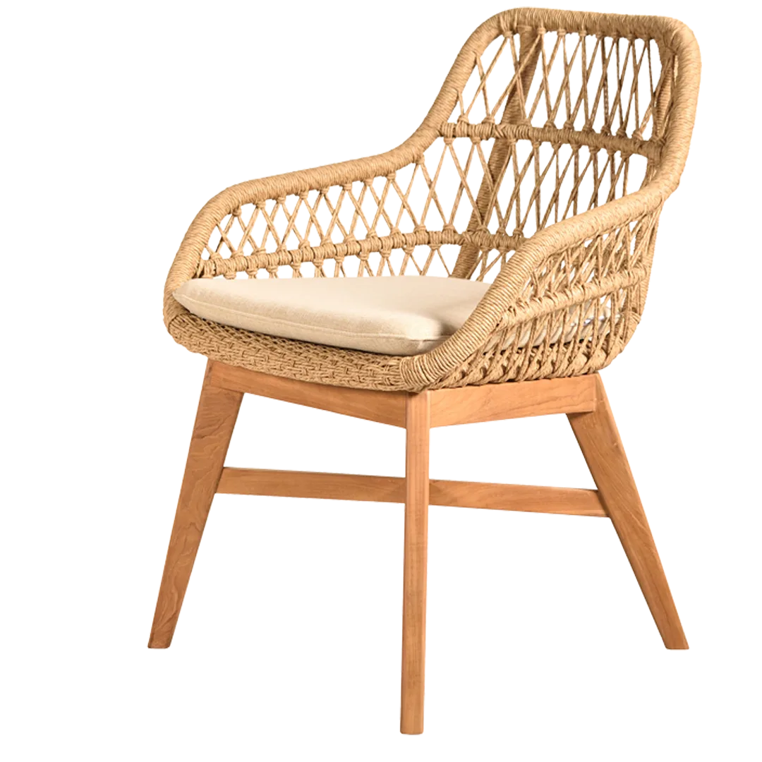 imelda-cushion_0000s_0001_Layer-8 Imelda Dining Chair - Image 1